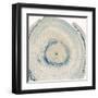 Mineral Rings 6-Albert Koetsier-Framed Art Print