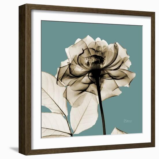 Mineral Rose-Albert Koetsier-Framed Photographic Print