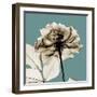 Mineral Rose-Albert Koetsier-Framed Photographic Print