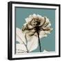 Mineral Rose-Albert Koetsier-Framed Photographic Print