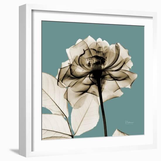 Mineral Rose-Albert Koetsier-Framed Photographic Print