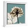 Mineral Rose-Albert Koetsier-Framed Photographic Print