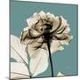 Mineral Rose-Albert Koetsier-Mounted Photographic Print