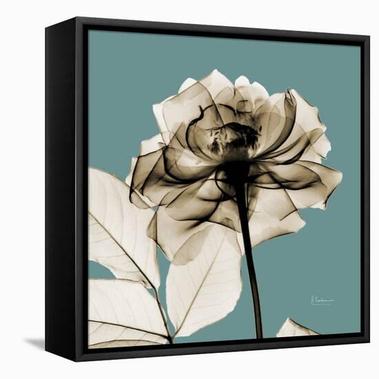 Mineral Rose-Albert Koetsier-Framed Stretched Canvas