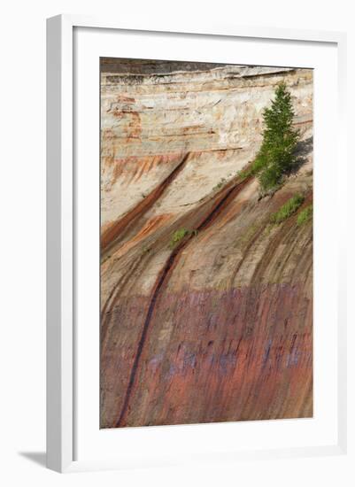 Mineral Seep with Pine Tree Growing, Lake Superior, Pictured Rocks National Lakeshore, Michigan-Judith Zimmerman-Framed Photographic Print