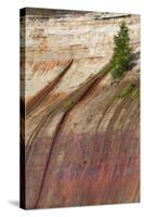 Mineral Seep with Pine Tree Growing, Lake Superior, Pictured Rocks National Lakeshore, Michigan-Judith Zimmerman-Stretched Canvas