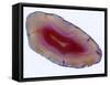 Mineral Slice III-Nature’s Little Gems-Framed Stretched Canvas