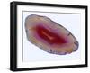 Mineral Slice III-Nature’s Little Gems-Framed Giclee Print