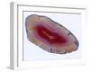 Mineral Slice III-Nature’s Little Gems-Framed Giclee Print