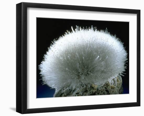 MineralCalendar: Mesolite. Poona, India-null-Framed Photographic Print