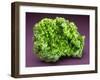 MineralCalendar: Pyromorphite. Ussel, France-null-Framed Photographic Print