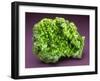 MineralCalendar: Pyromorphite. Ussel, France-null-Framed Photographic Print