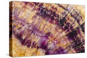 Minerals, Blue John or Derbyshire Spar, from Blue John Cavern-Richard Becker-Stretched Canvas