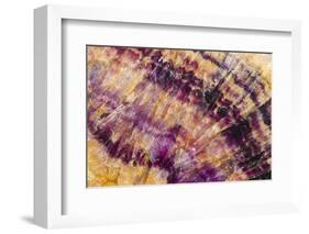 Minerals, Blue John or Derbyshire Spar, from Blue John Cavern-Richard Becker-Framed Photographic Print