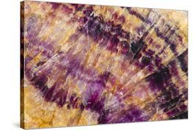 Minerals, Blue John or Derbyshire Spar, from Blue John Cavern-Richard Becker-Stretched Canvas