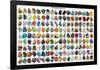 Minerals Educational Science Chart Poster-null-Framed Poster