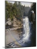 Miners Falls-Rusty Frentner-Mounted Giclee Print