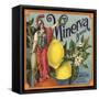 Minerva Brand - Corona, California - Citrus Crate Label-Lantern Press-Framed Stretched Canvas