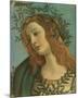 Minerva (detail)-Sandro Botticelli-Mounted Premium Giclee Print