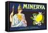 Minerva Lemon Label-null-Framed Stretched Canvas