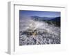 Minerva Spring, Mammoth Hot Springs, Yellowstone National Park, Wyoming-Geoff Renner-Framed Photographic Print