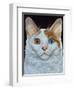 Minette, 1996-Ditz-Framed Giclee Print