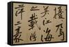 Ming Dynasty Scrolls, Shanghai Museum, Shanghai, China-Cindy Miller Hopkins-Framed Stretched Canvas