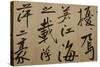 Ming Dynasty Scrolls, Shanghai Museum, Shanghai, China-Cindy Miller Hopkins-Stretched Canvas