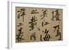 Ming Dynasty Scrolls, Shanghai Museum, Shanghai, China-Cindy Miller Hopkins-Framed Photographic Print