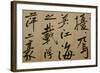 Ming Dynasty Scrolls, Shanghai Museum, Shanghai, China-Cindy Miller Hopkins-Framed Photographic Print