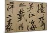 Ming Dynasty Scrolls, Shanghai Museum, Shanghai, China-Cindy Miller Hopkins-Mounted Photographic Print