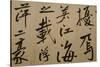 Ming Dynasty Scrolls, Shanghai Museum, Shanghai, China-Cindy Miller Hopkins-Stretched Canvas