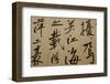 Ming Dynasty Scrolls, Shanghai Museum, Shanghai, China-Cindy Miller Hopkins-Framed Photographic Print