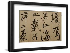 Ming Dynasty Scrolls, Shanghai Museum, Shanghai, China-Cindy Miller Hopkins-Framed Photographic Print