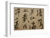 Ming Dynasty Scrolls, Shanghai Museum, Shanghai, China-Cindy Miller Hopkins-Framed Photographic Print