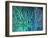 Mingling Branches-Ruth Palmer-Framed Art Print