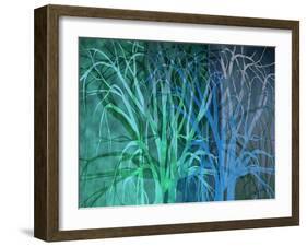 Mingling Branches-Ruth Palmer-Framed Art Print