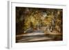 Mingling with Beauty-Jai Johnson-Framed Giclee Print