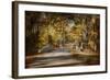 Mingling with Beauty-Jai Johnson-Framed Giclee Print