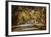 Mingling with Beauty-Jai Johnson-Framed Giclee Print