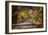 Mingling with Beauty-Jai Johnson-Framed Giclee Print