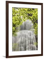 Mingo Falls, Qualla Boundary, Cherokee land trust, Swain County, North Carolina-Adam Jones-Framed Photographic Print