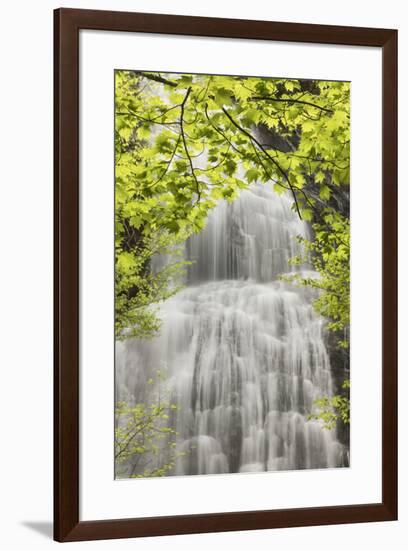Mingo Falls, Qualla Boundary, Cherokee land trust, Swain County, North Carolina-Adam Jones-Framed Photographic Print