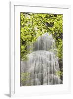 Mingo Falls, Qualla Boundary, Cherokee land trust, Swain County, North Carolina-Adam Jones-Framed Photographic Print