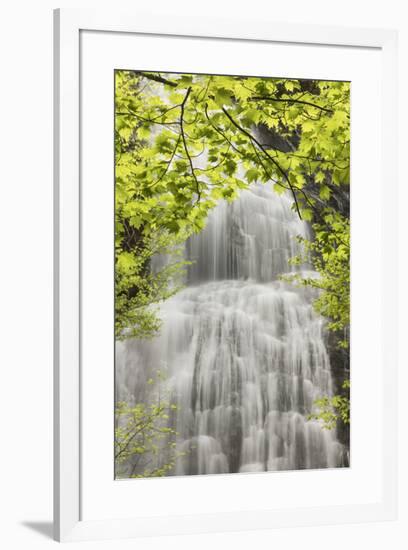 Mingo Falls, Qualla Boundary, Cherokee land trust, Swain County, North Carolina-Adam Jones-Framed Photographic Print