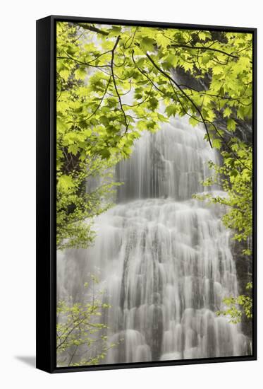 Mingo Falls, Qualla Boundary, Cherokee land trust, Swain County, North Carolina-Adam Jones-Framed Stretched Canvas