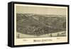 Mingo Junction, Ohio - Panoramic Map-Lantern Press-Framed Stretched Canvas