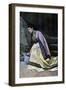Mingrelien Woman Collecting Water, C1890-null-Framed Giclee Print