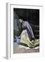 Mingrelien Woman Collecting Water, C1890-null-Framed Giclee Print