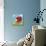 Mini Bugs IV-Sophie Harding-Premium Giclee Print displayed on a wall
